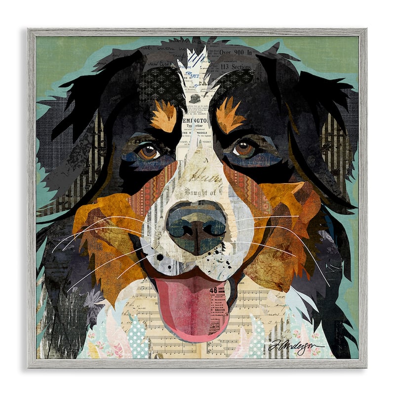 Stupell Bernese Mountain Dog Portrait Layered Ephemera Collage Framed Wall Art, Design by Traci Anderson - 17 x 17 - Grey