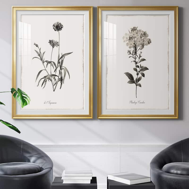 Sketchbook Imperial Premium Framed Print - Ready to Hang