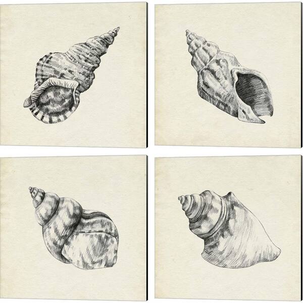 Emma Caroline 'Seashell Pencil Sketch' Canvas Art (Set of 4) - Bed Bath ...