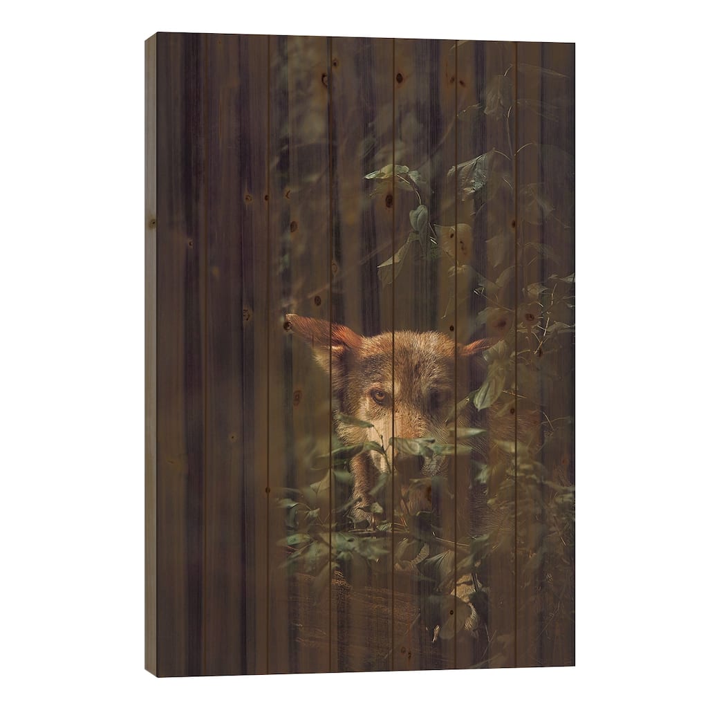 Wolf Print On Wood by Carrie Ann Grippo-Pike - Multi-Color