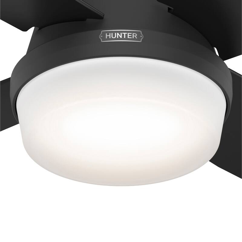 Hunter 52" Dempsey Flush Mount Ceiling Fan w/ LED Light Kit, Handheld Remote - Contemporary, Transitional - Low Profile