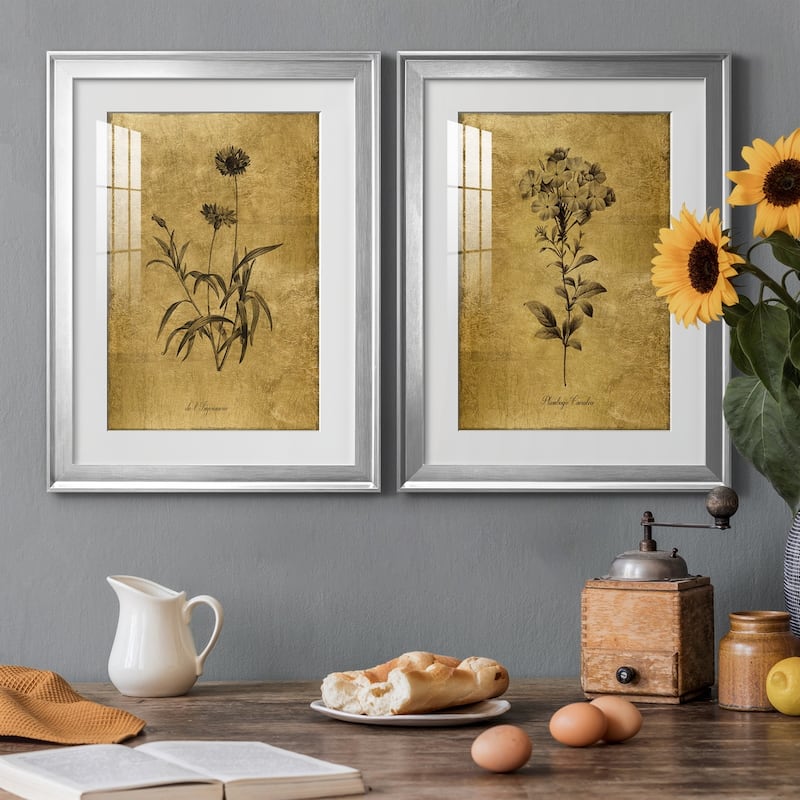 Gold Sketch Botanical I Premium Framed Print - Ready to Hang
