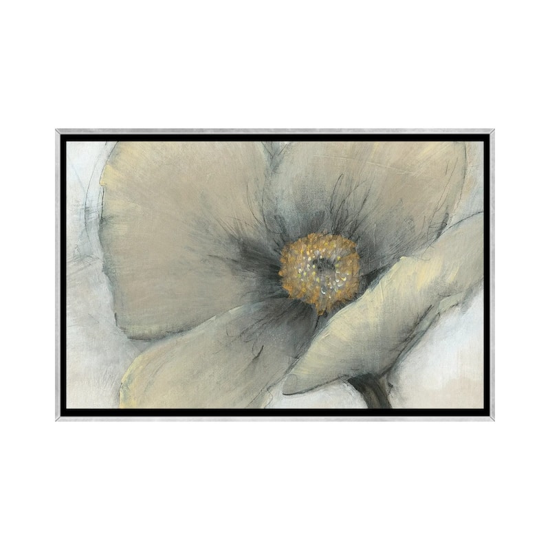 iCanvas "Single Cream Bloom I" by Tim OToole Framed