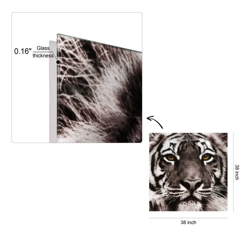 "Eye of the Tiger" Frameless Free Floating Tempered Glass Panel Graphic Wall Art