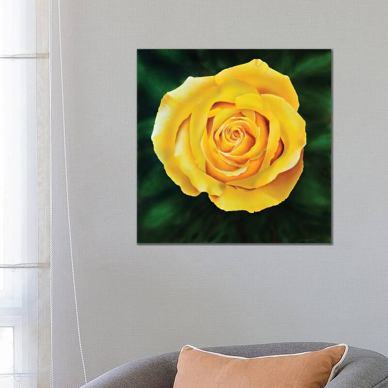 iCanvas "Yellow Rose" by John Salozzo Canvas Print - 26x26x1.5