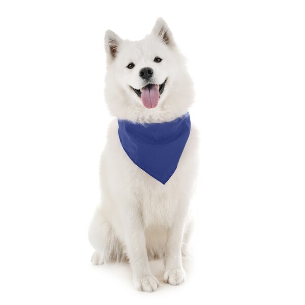 blue bandana for dogs