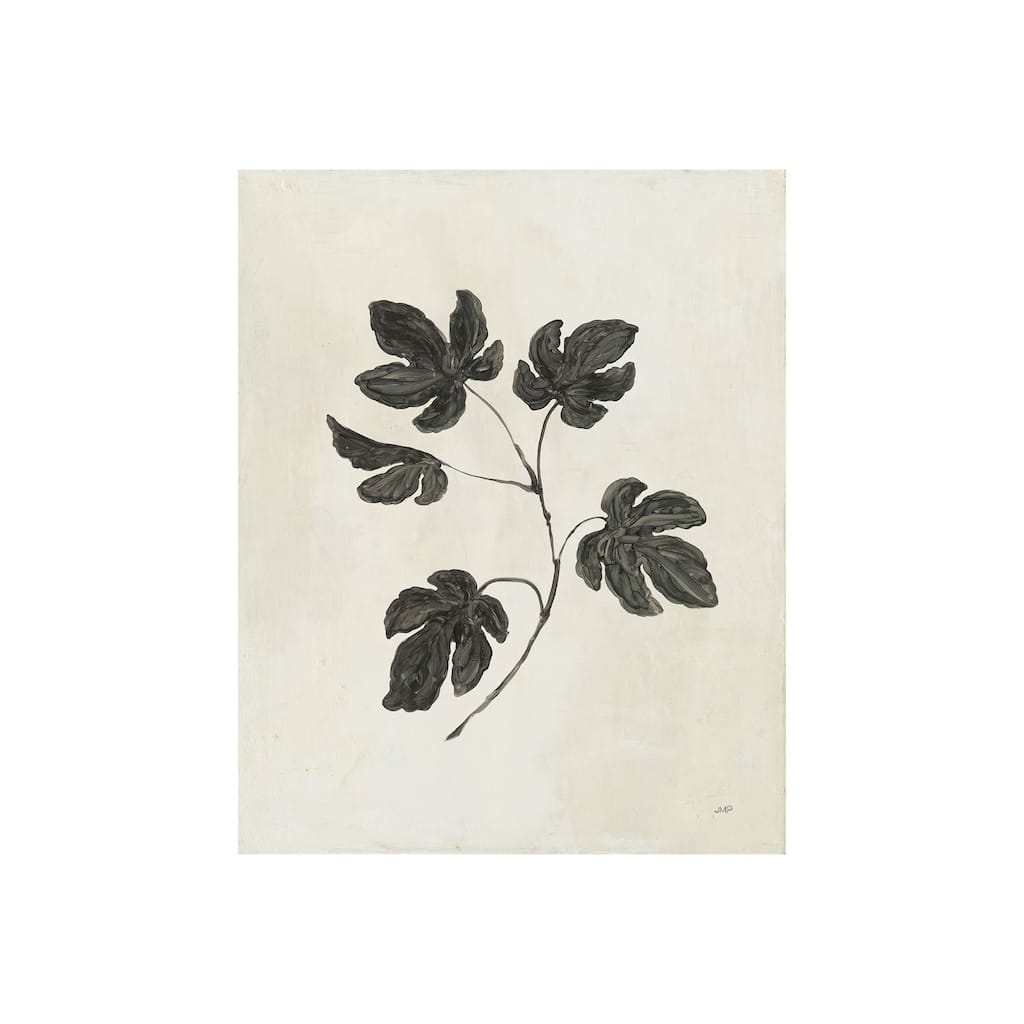 Botanical Study III (28 x 35) Canvas Art Print