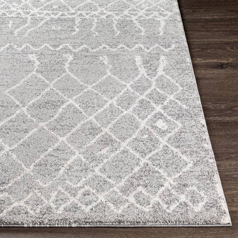 Livabliss Transitional Andorra Trellis Area Rug