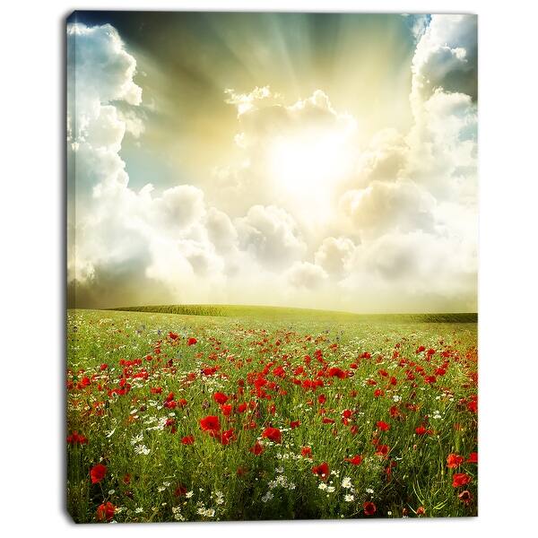 https://ak1.ostkcdn.com/images/products/is/images/direct/521440303abe98fb991b1fc04bf1c14f02774717/Designart-%27Dramatic-Sky-over-Poppy-Field%27-Extra-Large-Landscape-Canvas-Art.jpg?impolicy=medium