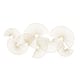 Option Gold - 45"W, 22"H