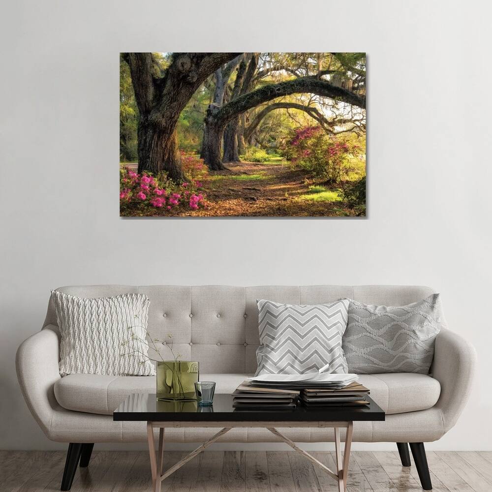 iCanvas "Under The Live Oaks I" by Danny Head Canvas Print