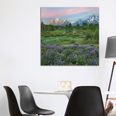 iCanvas "Lupine In Meadow, Grand Teton National Park, Wyoming" by Tim Fitzharris Canvas Print