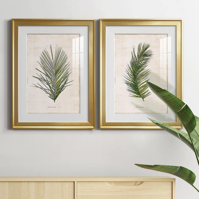 Palm Botanical I Premium Framed Print - Ready to Hang