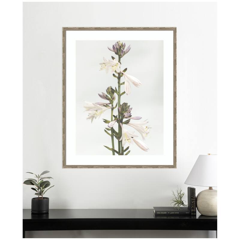 Kate and Laurel Framed Art Hosta by Alicia Abla