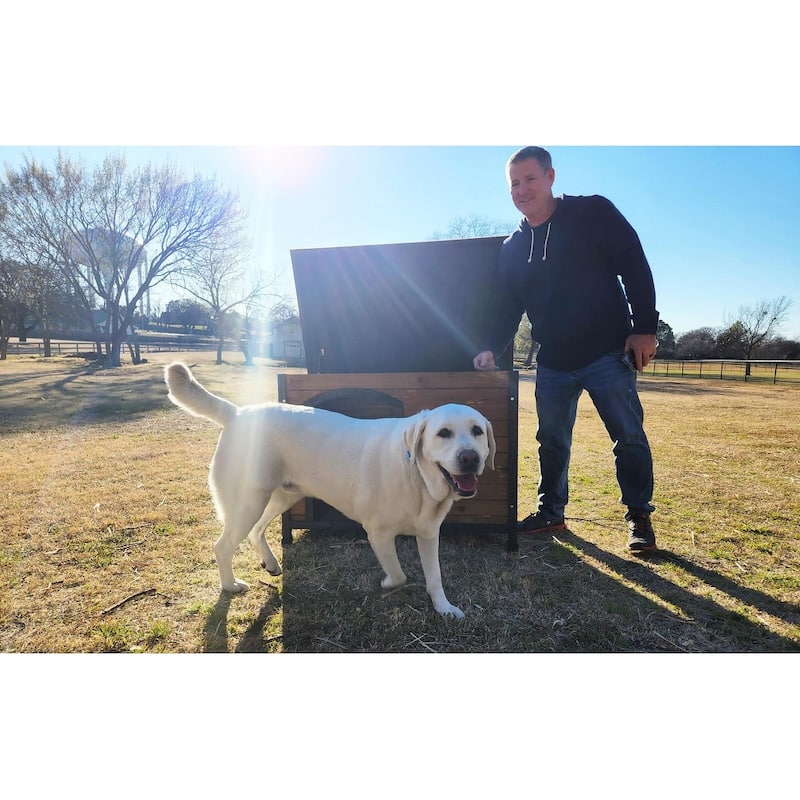 Zylina Large Cabin Home Dog House