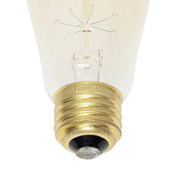 Westinghouse 60-Watt Timeless Vintage Inspired Incandescent ST20 Light Bulb