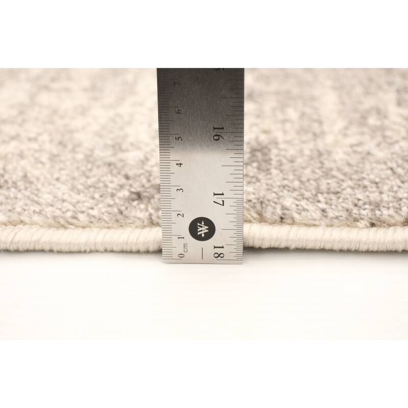 ECARPETGALLERY Remi Transitional Rug