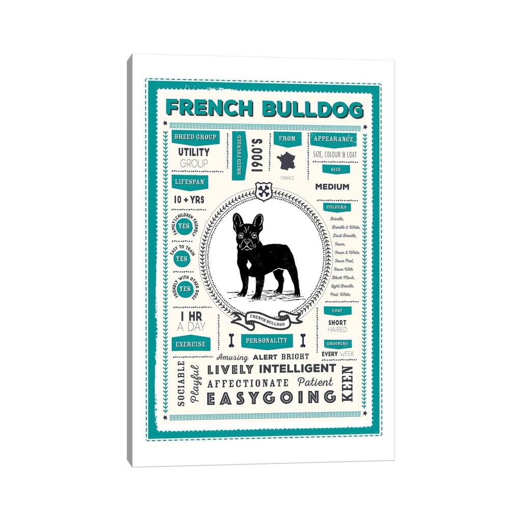 iCanvas "French Bulldog Infographic Blue" by PaperPaintPixels Canvas Print