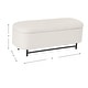 preview thumbnail 30 of 44, HomePop Ellipse Modern Storage Bench with Metal Legs