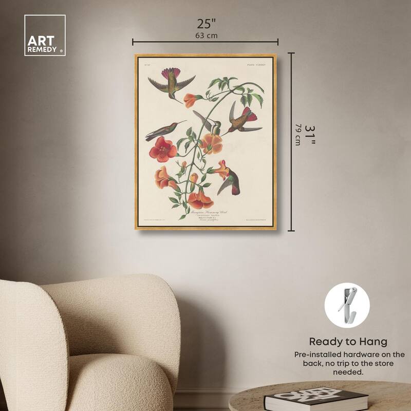 Humming Bird 1834 Canvas by Art Remedy