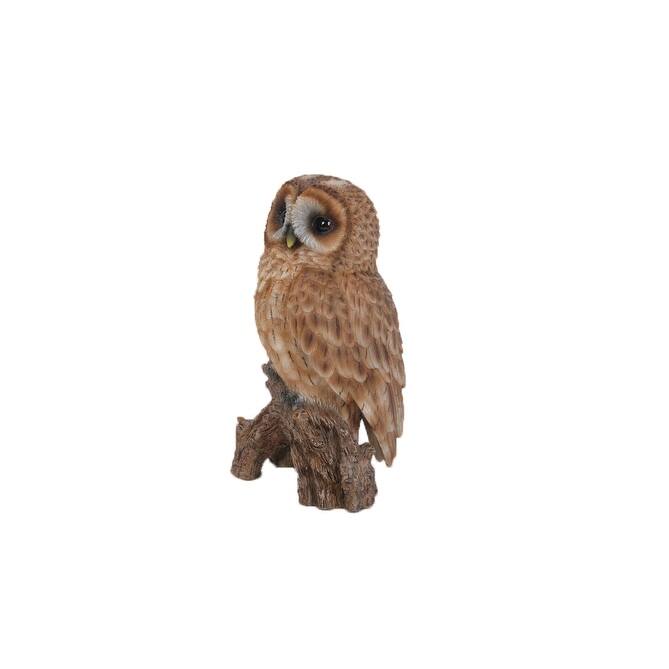 Small Tawny Owl On Stump