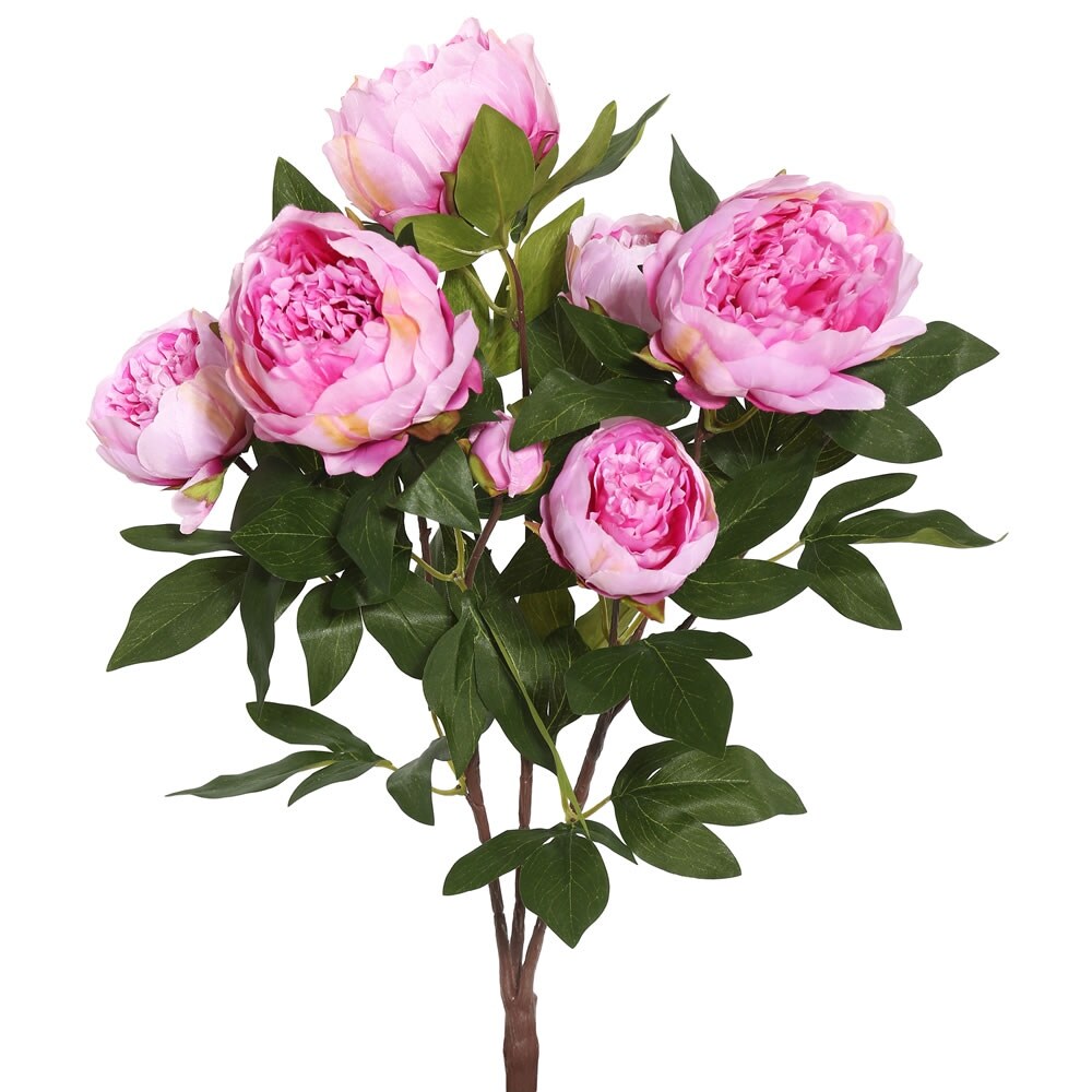 product_img5