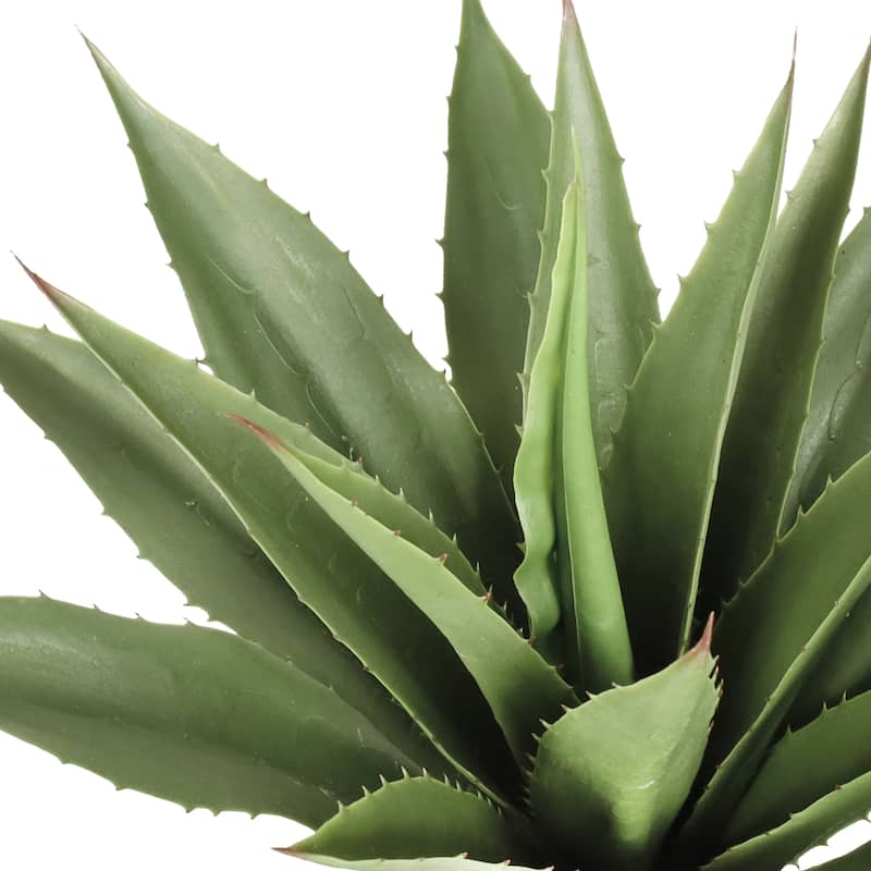 20in Artificial Agave Succulent Plant in Black Pot - 20" H x 18" W x 18" DP