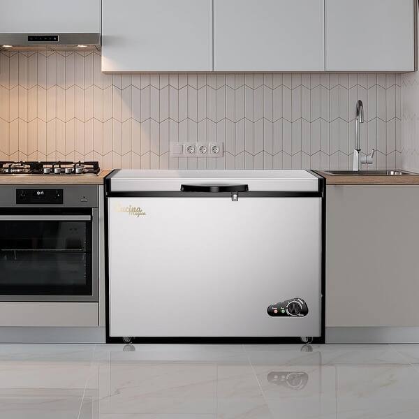 Silver Chest Freezer 10.0 Cu.ft with Removable Basket and Adjustable ...