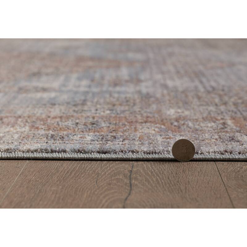 Domani Andrews Rustic Moroccan Area Rug