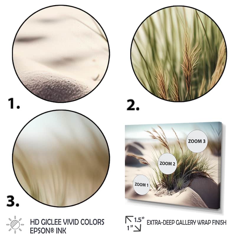 Designart 'Grass On Sand Dunes II' Beach Canvas Wall Art