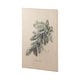 Evergreen collection IV (34 x 51) Canvas Art Print - Bed Bath & Beyond ...