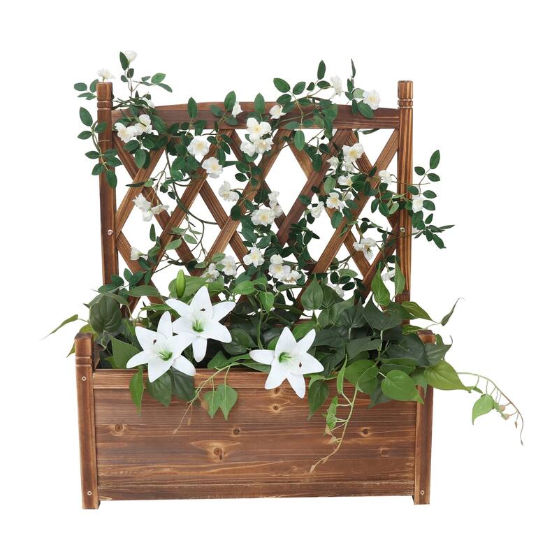 Wooden Raised Plant Bed Garden Elevated Planter Box with Trellis