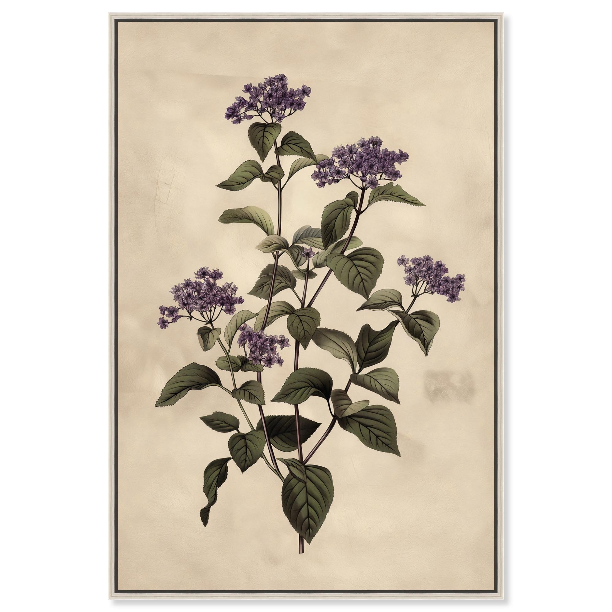 Purple Hydrangea Canvas by Art Remedy