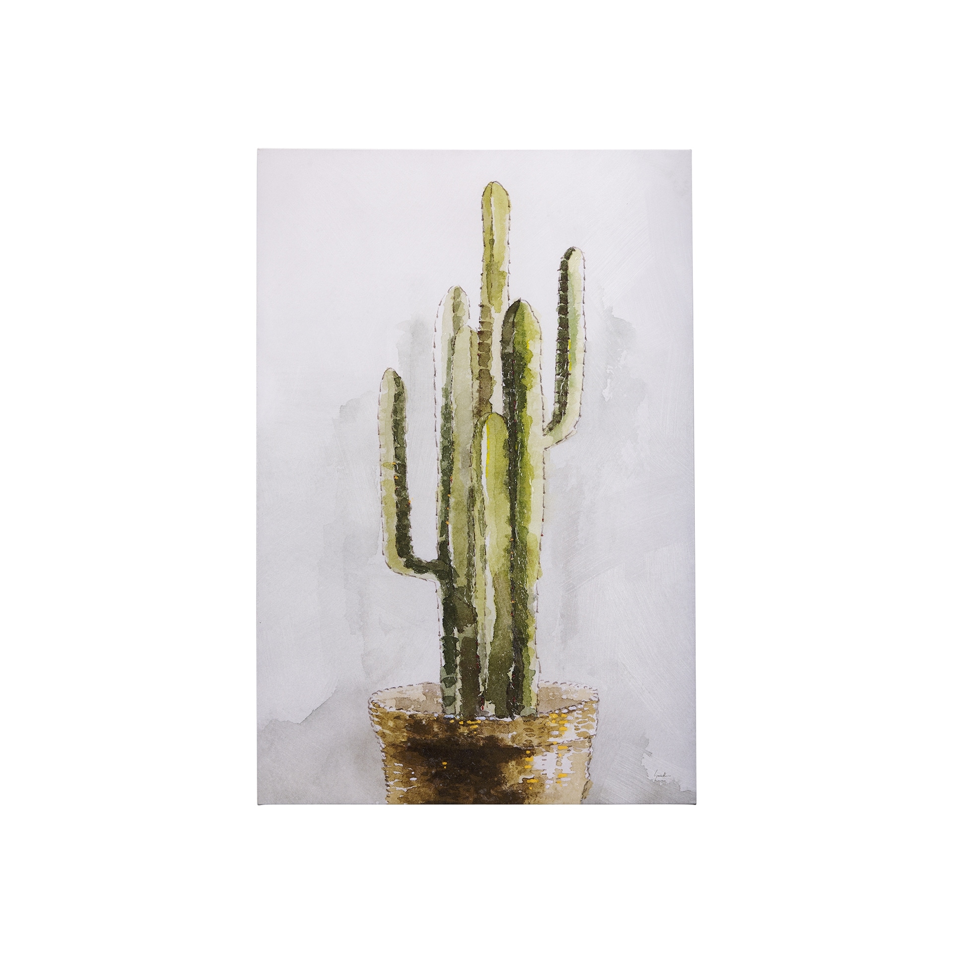 Mercana Arid Solitude II (28 x 42) Canvas Art Print
