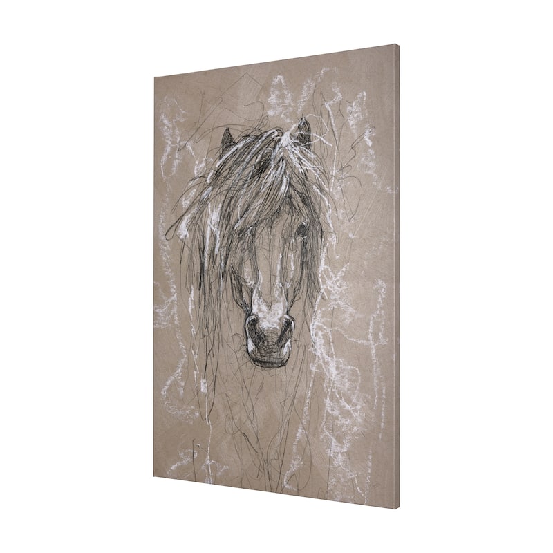 Sketch of Animal VI (Pony) (30 x 45) Canvas Art Print