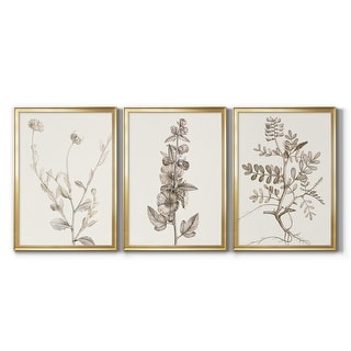 Neutral Botanical Study IV Premium Framed Canvas - Ready to Hang ...