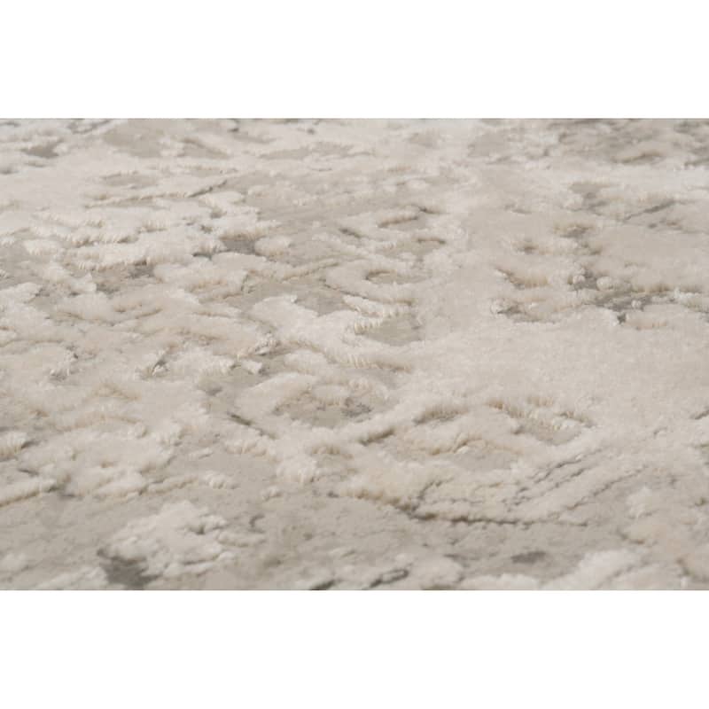 Dynamic Rugs Quartz Transitional Area Rug