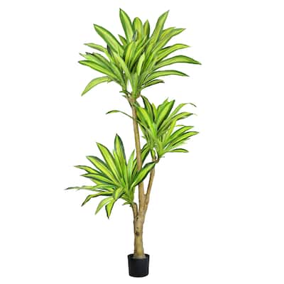 6ft Real Touch Artificial Dracaena Tree Plant in Black Pot - 72" H x 30" W x 30" DP