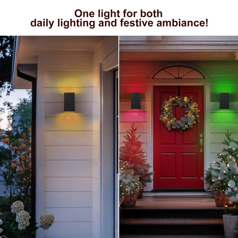 2-Light Matte Black Dimmable Outdoor LED Wall Sconce