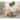 SAFAVIEH Lodi Tea 25-Inch Acacia Bar Cart, Coastal Living Room Decor - 25" W x 34" D x 34" H