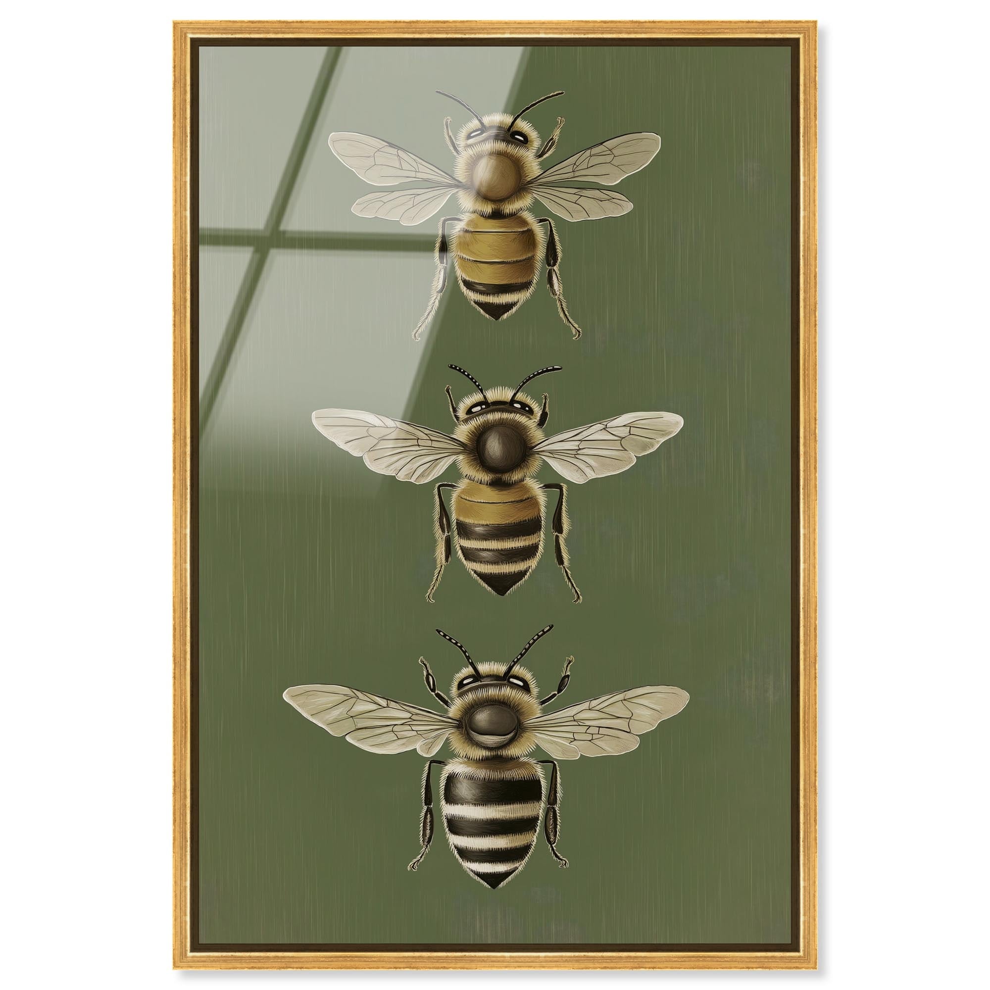 Anatomy of the Bee Vintage Framed Acrylic Wall Art by Art Remedy