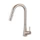 Option Brushed Nickel