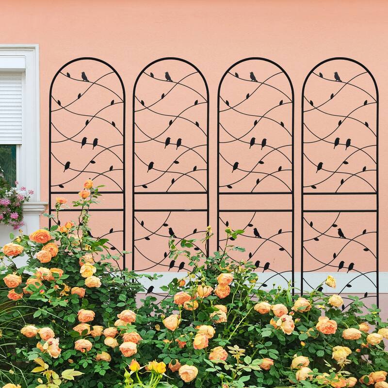 Metal Garden Trellis