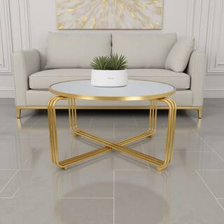 Plant Stand Coffee Table, 37 Inch Round Mirror Top, Modern Gold Metal