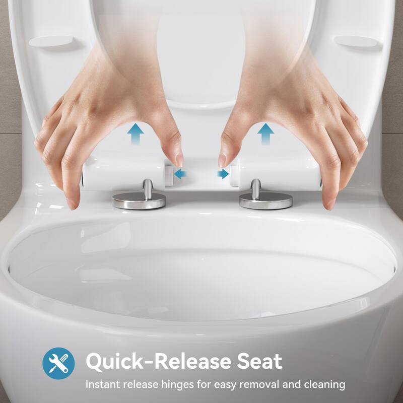 HOROW One Piece Elongated Toilet in White 0.8/1.28 GPF Dual Flush with Seat - N/A