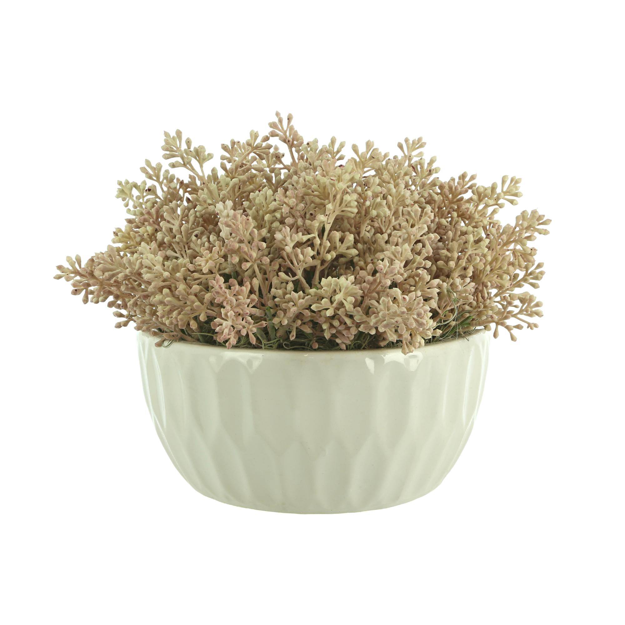 Seeded Eucalyptus Arrangement in Ceramic Vase - Pink, Cream - On Sale ...