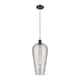 Option Oil Rubbed Bronze / Light Smoke