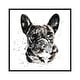 preview thumbnail 1 of 13, iCanvas "Black Frenchie" by EdsWatercolours Framed Silver - 18x18