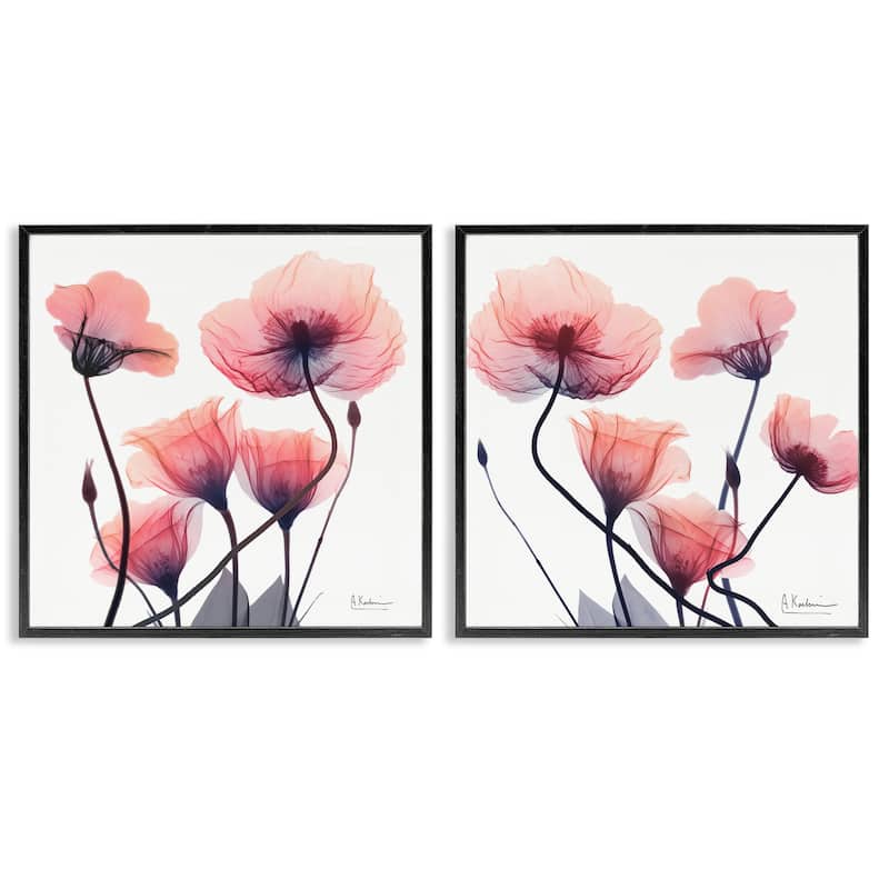 Stupell Various Faded Pink Flowers Framed Giclee Art Design By Albert Koetsier (Set of 2) - 24 x 24 - Black