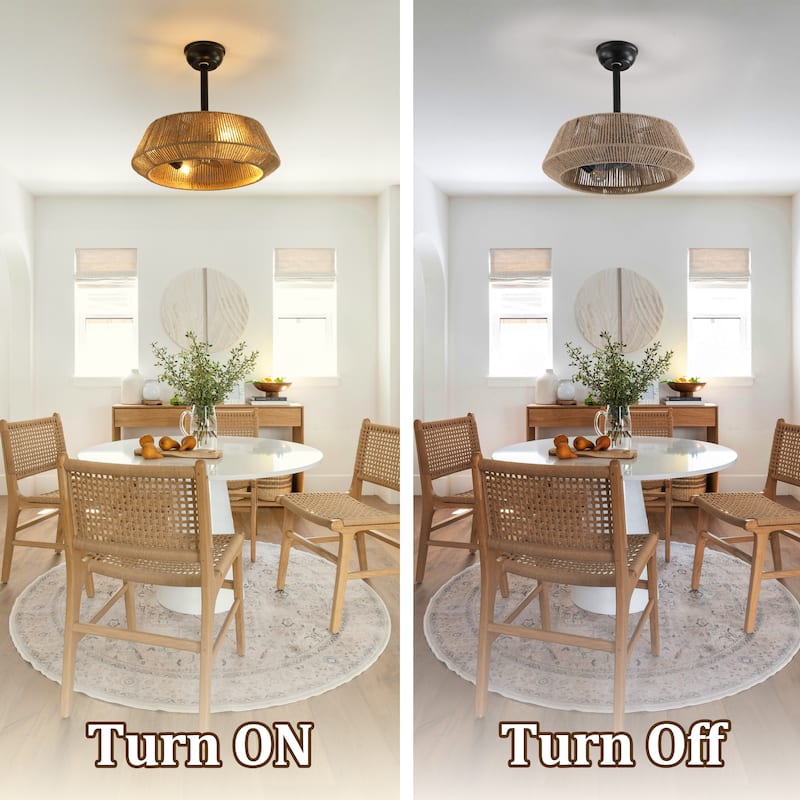 20" Boho Rope Black Caged Ceiling Fan with Dimmable Light and Remote